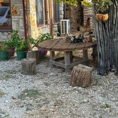 Kantina & Ferma Dukat