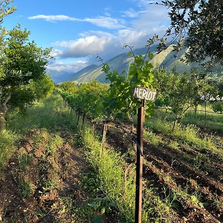 Kantina & Ferma Dukat 酒店