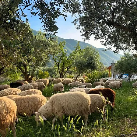 Kantina & Ferma Dukat