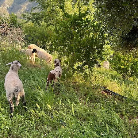 Kantina & Ferma Dukat