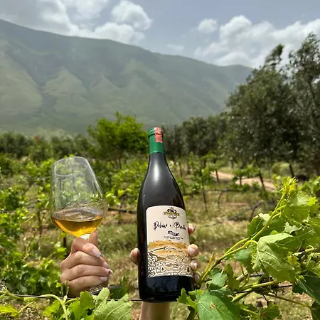 酒店 Kantina & Ferma Dukat *