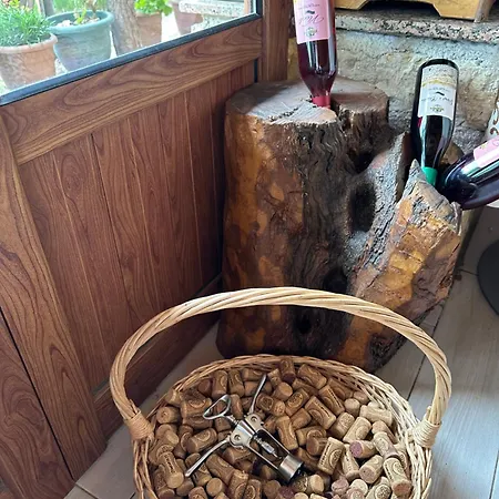 Kantina & Ferma Dukat 酒店 *