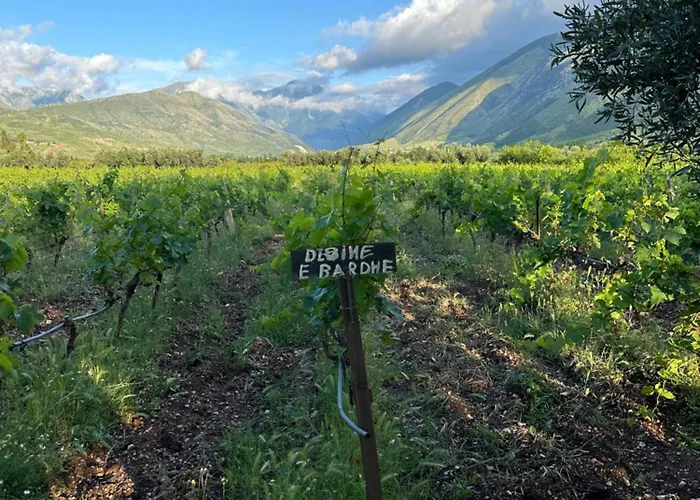 Kantina & Ferma Dukat *